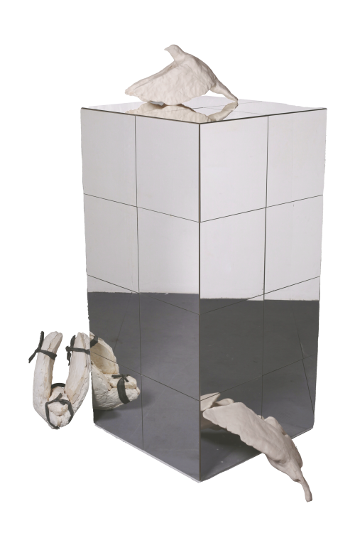 PigeonCube2Detour